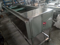 Knoflook sorteermachine, maatselectie fruit- en groentemachine, gatbandtype knoflook maatselectiemachine