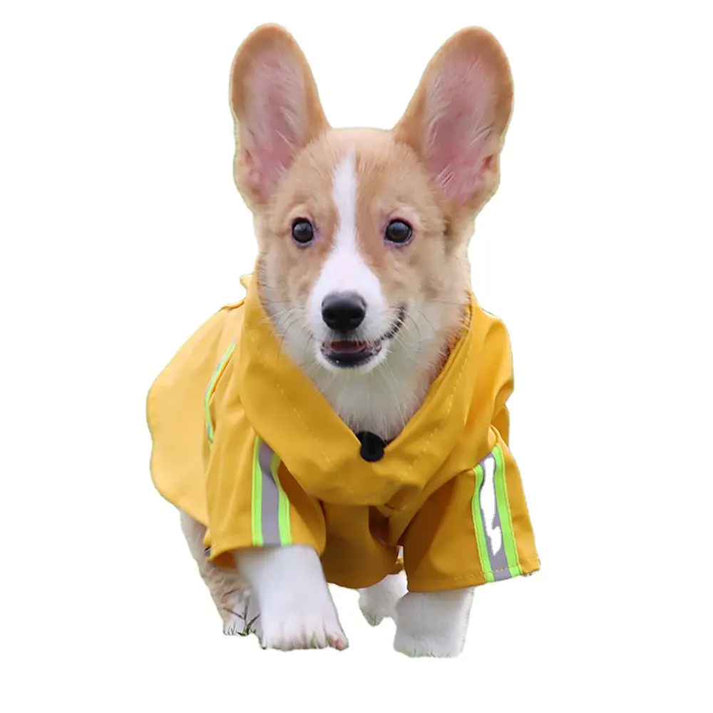 Abrigo de lluvia para perro, accesorios de ropa con patrón para exteriores, capa reflectante ligera, impermeable, directo de fábrica