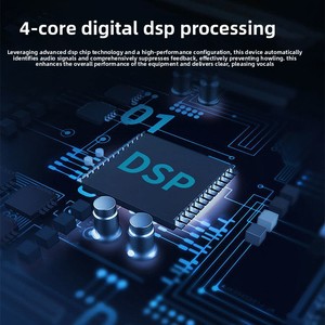 معالج صوتي BHA 2.0-Blue احترافي لإخماد التغذية الراجعة للعروض المسرحية، 2 مدخل و2 مخرج، 12 عامًا من الخبرة في التصنيع، بيع بالجملة، تصنيع حسب الطلب - Product Image 3