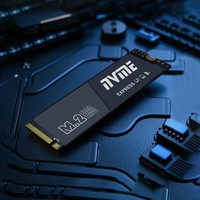 SSD M.2 NVMe Haute Vitesse 2280 OEM 256 Go 512 Go 1 To Pour Ordinateur de Bureau et Portable Disque Interne à État Solide