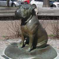 Offre Spéciale antique cuivre bronze finition métal laiton coulé statue de bouledogue anglais