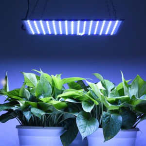 Lampes de culture LED à spectre complet avec variateur d'intensité pour serre, hydroponie, <span class=keywords><strong>germination</strong></span> de semis et culture de légumes - Product Image 3