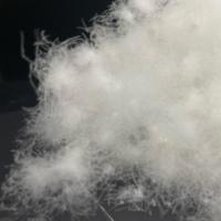 Matériau de rembourrage en duvet de canard blanc 95 % lavé, 800 FP, certifié IDFL et OEKO-TEX, OEM ODM