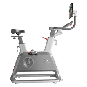 YPOO profesional home exercise air magnetic spin bike attrezzatura da palestra fitness indoor spinning cycling bike con APP YPOOFIT