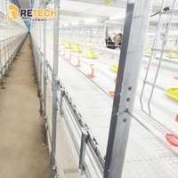 Vietnam Offre Spéciale automatique 2 niveaux équipement avicole poulets de chair cages pour 30000 oiseaux