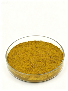 バルクゴールデンシール根エキス5%粉末（粘膜サポート用）GMP認証済み（短期有効期限） - Product Image 4