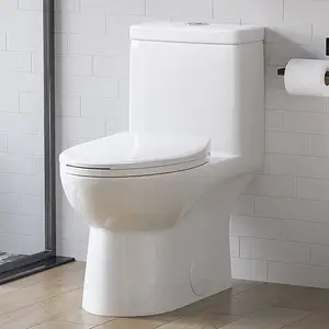 工厂好价格科威特蹲便器白色一体式S陷阱加拿大理想标准厕所