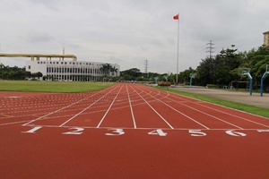 Caucho duradero del fabricante, plástico, ventas, lugar fundido, pista para correr, suelo Atlético sintético impermeable, césped <span class=keywords><strong>artificial</strong></span> - Product Image 6