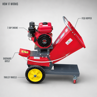 Nouvelle Hacheuse à Fourrage Mobile 168 7.0HP à Essence avec Grande Trémie, Coupe Uniforme, Capacité 1 Tonne/Heure pour Alimentation des Vaches, Moutons et Chèvres
