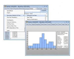 Envoyer un lien de téléchargement du logiciel de traitement des données de séries temporelles pour EViews 13 pour Windows, destiné aux grandes organisations. - Product Image 6