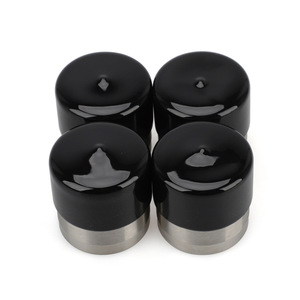 Stainless Steel Bearing Housing Unit 99195 Piano Black Pillow <b>Block</b> <b>Mounting</b> For Manufacturing Plant - Product Image 1