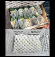 Witte EPE schuimvulling voor verpakkingen van drakenvrucht en avocado, schokbestendige fruitkussenmat