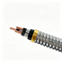 5kV QYEQEY Kupfer-Flachkabel ESP-Stromkabel mit Stahlbandarmierung IP65 Tauchfähiges Ölpumpenkabel für Onshore- und Offshore-Ölfelder