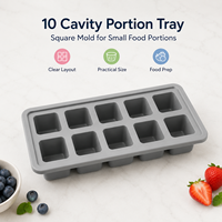 Fruitpuree-vormpjes siliconen, 10-delige bak voor smoothies, babyvoeding en diepvriesfruitporties