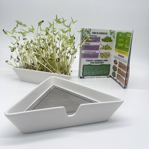 Venta al por mayor Bandejas de germinación de semillas Cuencos de cerámica triangulares con malla de acero Mung Bean Alfalfa Wheatgrass Germinación - Product Image 1