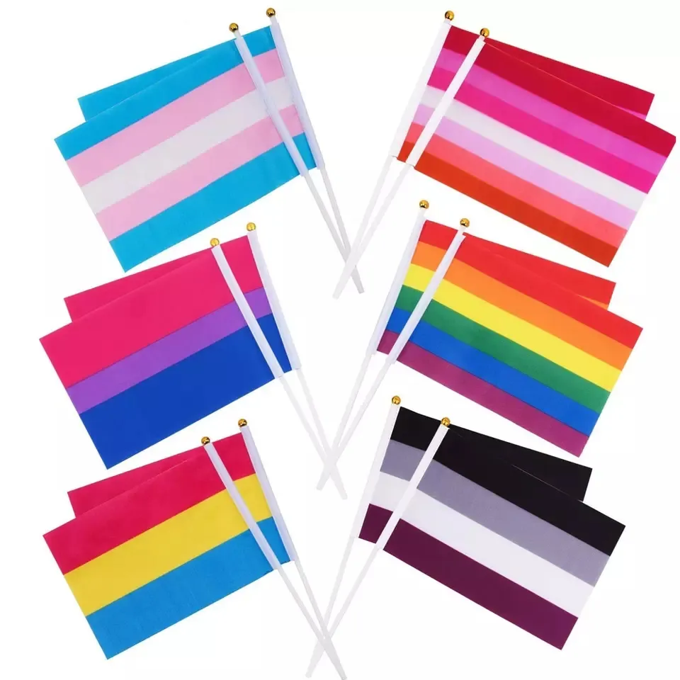Cờ Lắc Kích Thước Nhỏ Tùy Chỉnh Cờ Cầu Vồng Cầm Tay 14*21Cm In Hình Lgbt Gay Pride Polyester