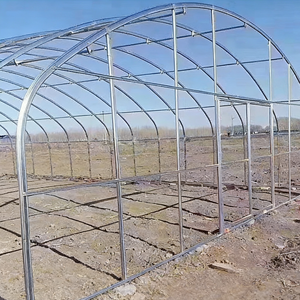 Serra a tunnel monospalla in film <span class=keywords><strong>PO</strong></span>/PE, ideale per la coltivazione di vari tipi di ortaggi, frutta e fiori - Product Image 3