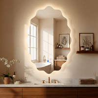 Accessoires de salle de bain LED, miroirs muraux, miroirs sans cadre, miroirs éclairés, miroirs ovales irréguliers