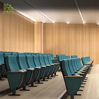 Chaises de salle de conférence pliables personnalisées pour auditorium, théâtre, cinéma, école, hôtel, salle de conférence, salle de conférences, sièges d'auditorium