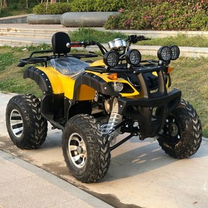 Fabricante de Buggies Eléctricos Todoterreno, Go Karts, Vehículos para Conducir Junto a la Playa, en Venta - Product Image 3