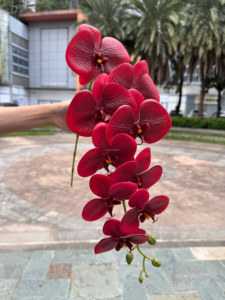 BF-OD15-1 Tendances actuelles : Orchidées Phalaenopsis artificielles à 9 têtes, toucher réel, violet foncé, pour décorations de mariage et de maison - Product Image 6