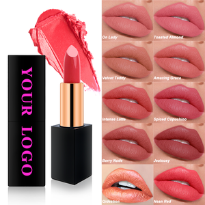 Custom Cosmetics Makeup Pigmented Cream Lip Stick Waterproof Vegan Private Label Magnetic Long Lasting Nude <strong>Matte</strong> <strong>Lipstick</strong> - Product Image 1