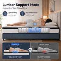 Matelas intelligent AI : Solution de sommeil intelligente avec soutien lombaire adaptatif, matelas de lit réglable, matelas à ressorts ensachés King Queen
