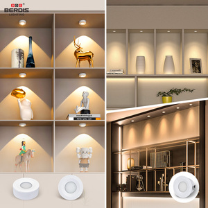 12V DC 24V 230VAC Berdis Display Board ultra delgado aluminio RoHS Ip54 Downlight Spotlight 1W Led gabinete luz para tienda - Product Image 6