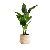 Décor intérieur Extérieur en bois Cactus Planteur Pot