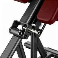 Chaise romaine professionnelle réglable pour extension dorsale et hyperextension, idéale pour les centres de fitness et la musculation