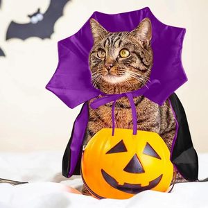 New 2024 Spring Summer Halloween <b>Cat</b> Wizard Cape & <b>Hat</b> Set for Dogs & <b>Cats</b> Customized Color Cosplay - Product Image 4