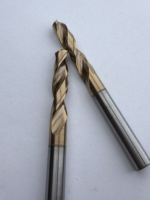 HRC55 2F Carbide Drill Bit