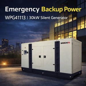 Generatore Diesel WPG41L13 30kW (Prime) 41kVA (Standby) Silenziato per Alimentazione <span class=keywords><strong>di</strong></span> Backup <span class=keywords><strong>di</strong></span> Fabbriche, Magazzini e Uffici - Product Image 5