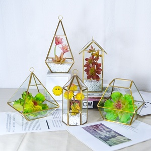 <span class=keywords><strong>Terrarium</strong></span> en verre de maison de fleur géométrique hexagonale d'or pour Pot de plante succulente de table - Product Image 6