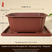 Bac à eau rectangulaire + Pot de culture pour succulentes en résine écologique style chinois avec contrôle des racines et trou de drainage pour usage en intérieur