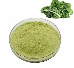 Grosir bubuk Kale kering beku organik bubuk Super bubuk organik - Product Image 5