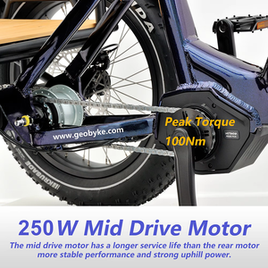 Tricycle électrique cargo robuste sans balais pour adultes, 250W, batterie 48V 15Ah, 7 vitesses, freins à disque hydrauliques, charge stable - Product Image 6