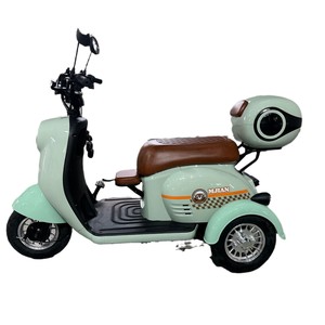New Retro Style Elderly Women Youth Leisure Child-Pickup Use Open 3 Wheel <strong>2</strong> <strong>Passengers</strong> 300kg Max Load 30 Km/h Electric Tricycle - Product Image 6