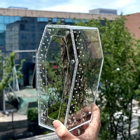 Terrarium en acrylique transparent en forme de cercueil pour l'élevage d'insectes, d'araignées et de geckos – Boîtier en acrylique au design personnalisé