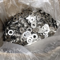 Competitive Price DIN125 Flat Washer Duplex Stainless Steel X2CrNiN22-2 1.4062h S32202 Customized OEM ODM Washers