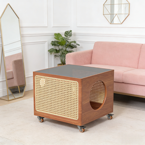 Table basse moderne minimaliste en bois massif pour animaux de compagnie, table d'appoint mobile avec rangement pour salon, usage domestique - Product Image 3