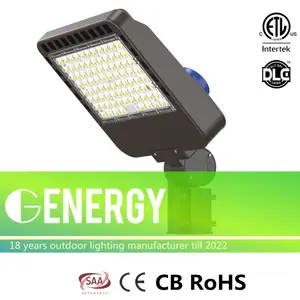 IP66 100 vatios 150 vatios 200 vatios 250 vatios caja de zapatos LED Luz de cancha deportiva cuadrada/redonda montaje en poste LED área alumbrado público