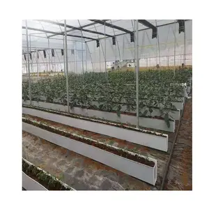 Soilless Cultivation Planting Trough A Shape Substrate culture for strawberry