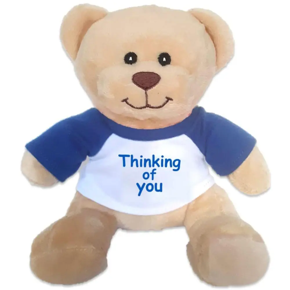 Benutzer definierte kleine Plüsch Teddybär Spielzeug Super Cute 6 Zoll mit dem Denken an Sie Nachricht T-Shirt Party begünstigt Plüsch Gummibärchen
