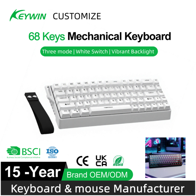 Factory Stock 68 Keys RGB Gasket Structure Wireless Gaming Mechanical Keyboard OEM ODM 65% Tri-Mode Mechanical Gaming Keyboard
