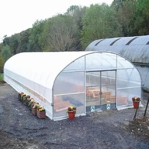 Groentekas Skelet Enkele Eenvoudige Kas Polycarbonaat Boerderij Kas Rolfolie Ventilatie C-Vormig Staal Ovaal