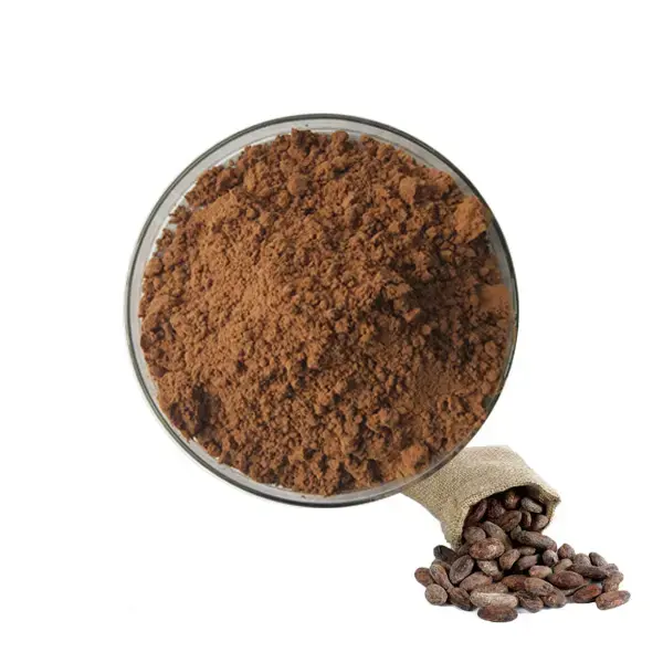 Hot Selling Goedkope Prijs Puur Natuurlijke Cacao Extract Cacaopoeder Low Fat 4-7%