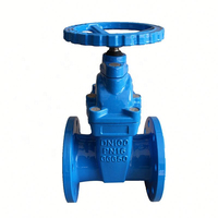 Válvula de Compuerta Manual para Agua PN10 PN16 DIN F4 BS5163 NRS con DN40-DN1200
