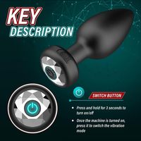 Masseur de prostate vibrant à 10 fréquences, contrôlé par application, avec bouton de commutation, plug anal en silicone, perles anales, jouet sexuel pour homme, vente en gros