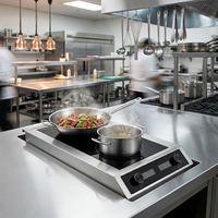 Table de cuisson à induction commerciale 2 brûleurs plats 3500W*2 avec commande par bouton, cuisinière électrique de comptoir